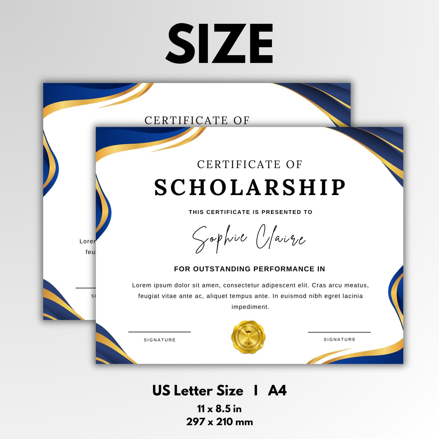 Editable Scholarship Award Template, School Award Certificate, Printable in 2 Sizes, Modern Design, Add Your Logo, For Achievement
