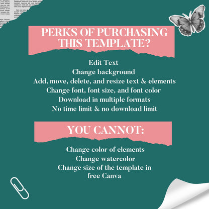 Capability Statement Canva Template, Business Capability Statement Design, Company Overview, Government Contracting Business Documen