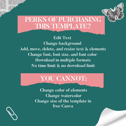 Capability Statement Canva Template, Business Capability Statement Design, Company Overview, Government Contracting Business Documen